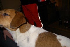 Zaterdagavond-bessum-Tattoo-Temple-056