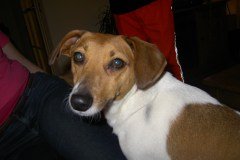 Zaterdagavond-bessum-Tattoo-Temple-058