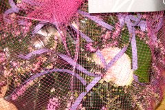 Maandag-Ontbijt-19-02-07-060